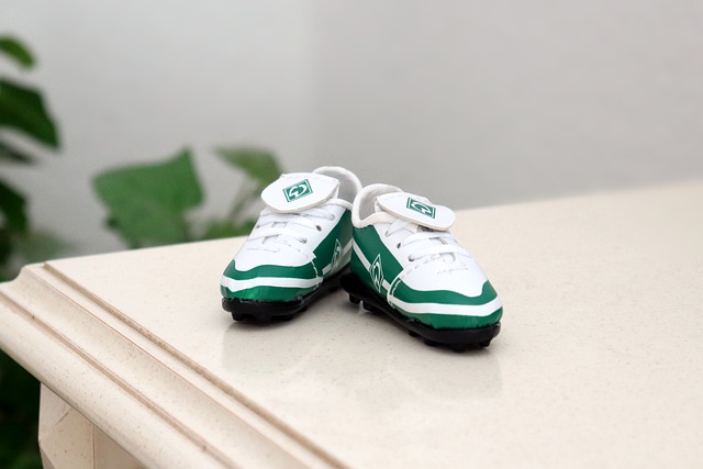 的职业生涯 的职业生涯