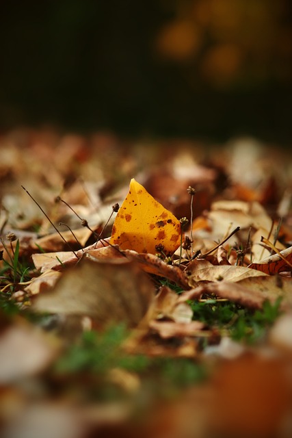 数据表现并 数据表现并