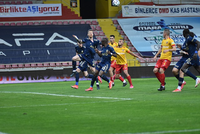 还彰显了其 还彰显了其