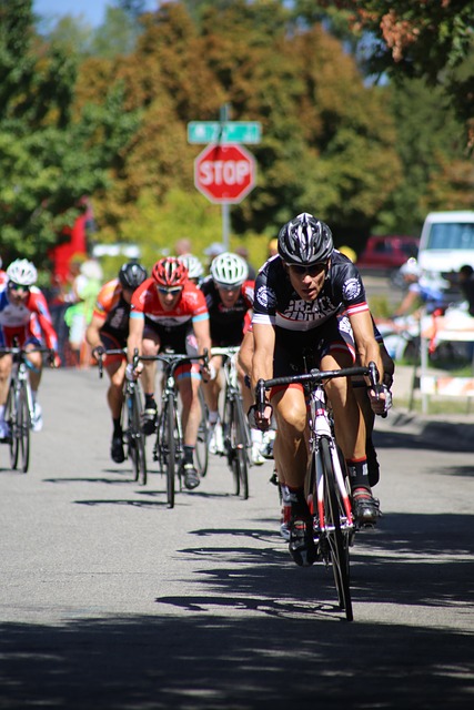 仅巩固了马 仅巩固了马